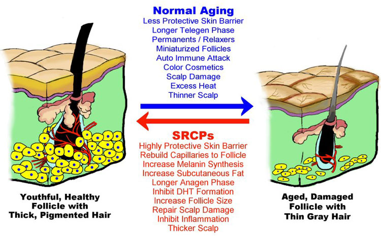 Hair and Aging Effects